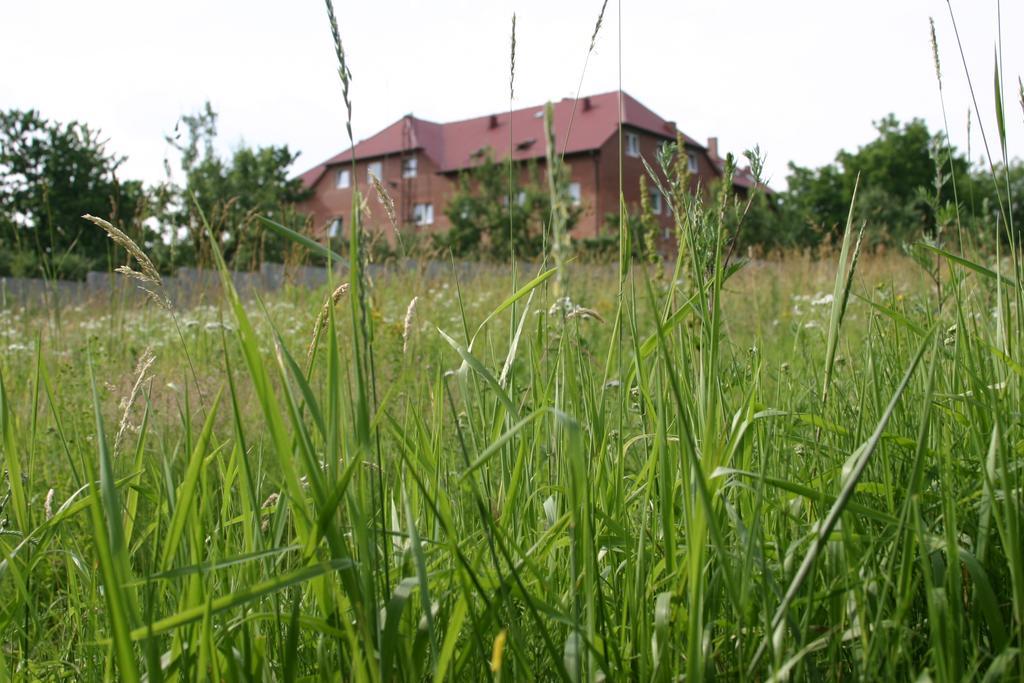 Motel U Olka Boczow Dış mekan fotoğraf